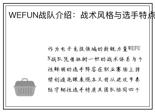 WEFUN战队介绍：战术风格与选手特点